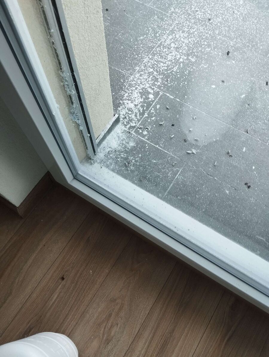 exterminateur d insectes a-Saubraz.jpg