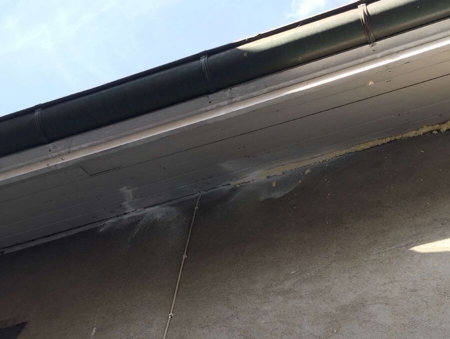 exterminateur d insectes a-Senarclens.jpg