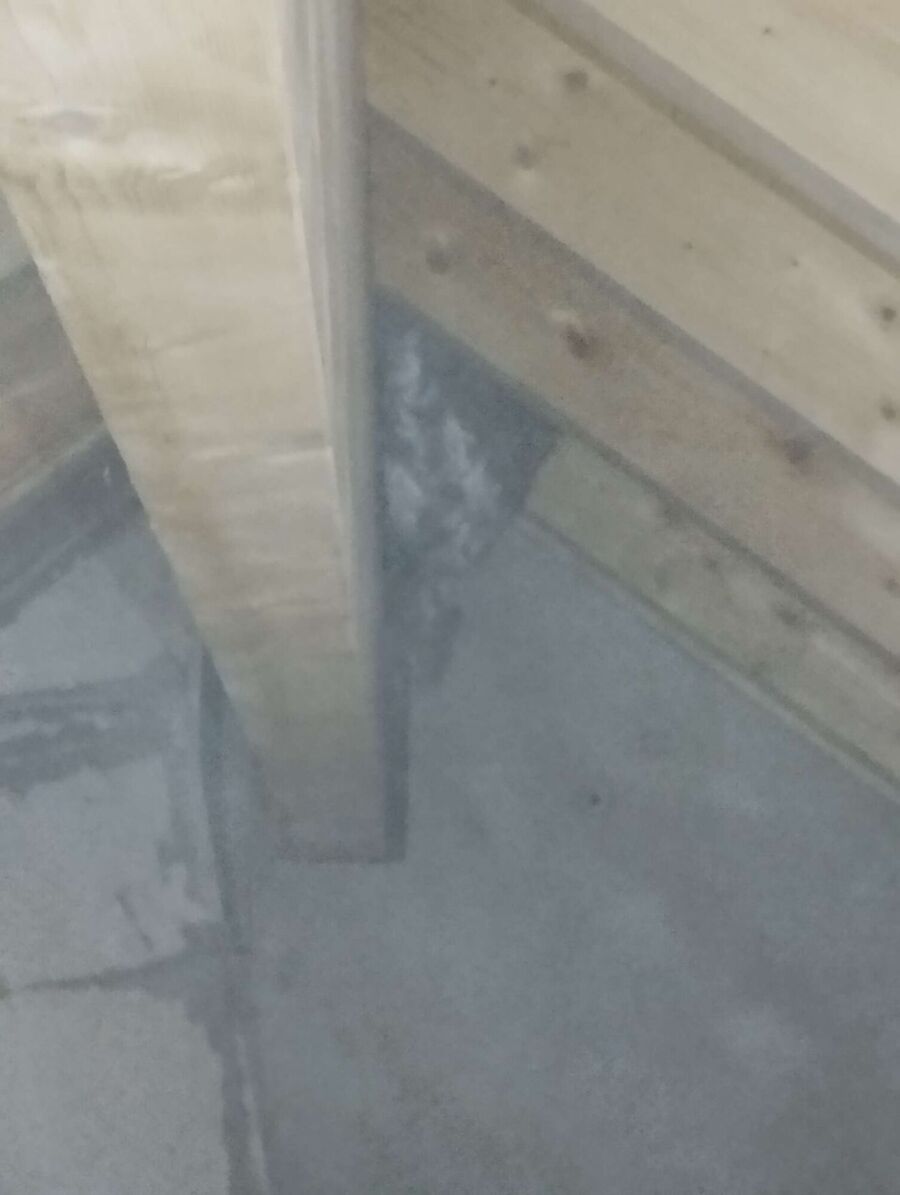 exterminateur d insectes a-Servion.jpg