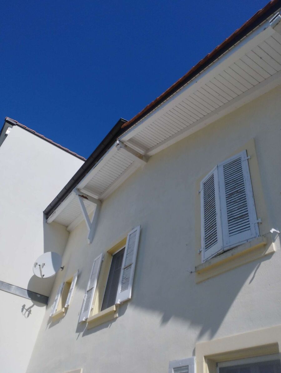 exterminateur d insectes a-Signy-Avenex.jpg