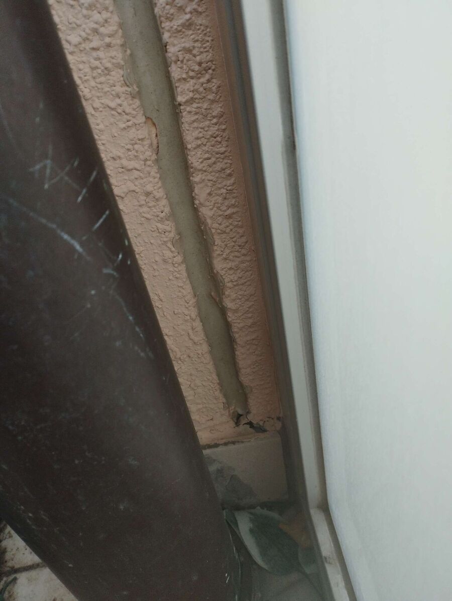 exterminateur d insectes a-Suchy.jpg