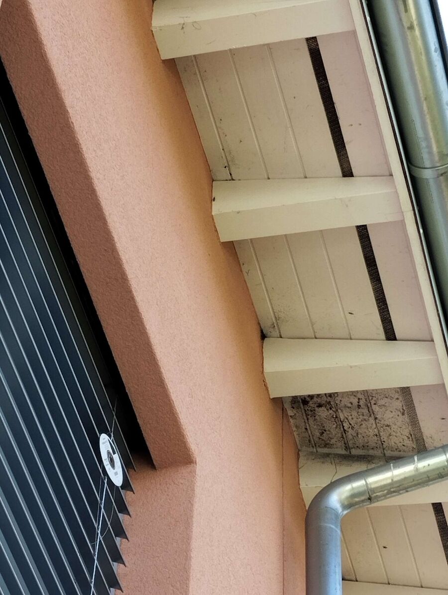 exterminateur d insectes a-Suscévaz.jpg