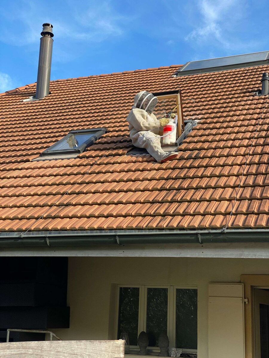 exterminateur d insectes a-Tannay.jpg