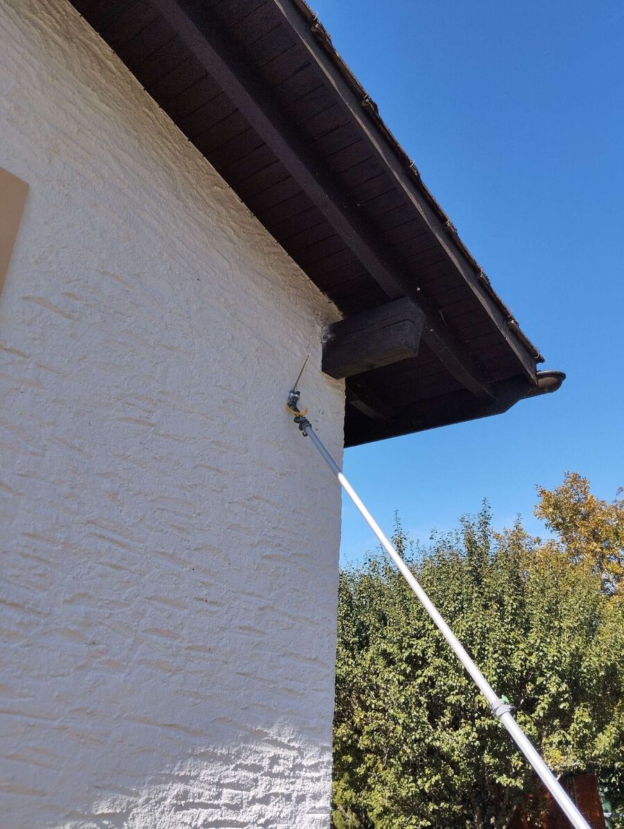 exterminateur d insectes a-Tartegnin.jpg