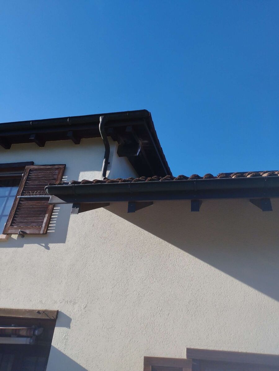 exterminateur d insectes a-Trey.jpg