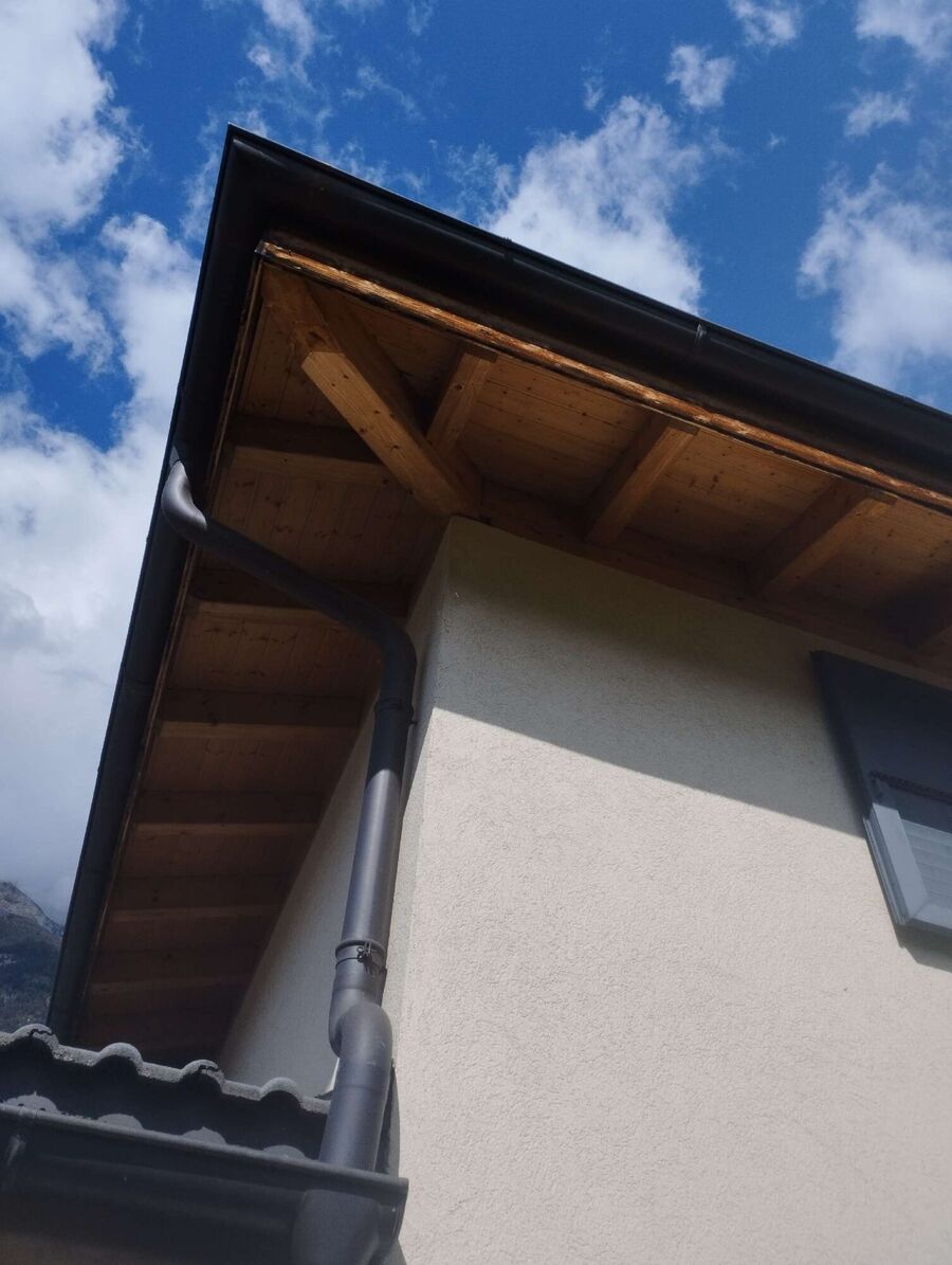 exterminateur d insectes a-Treytorrens (Payerne).jpg