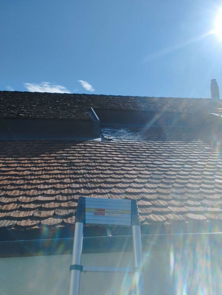 exterminateur d insectes a-Ursins.jpg