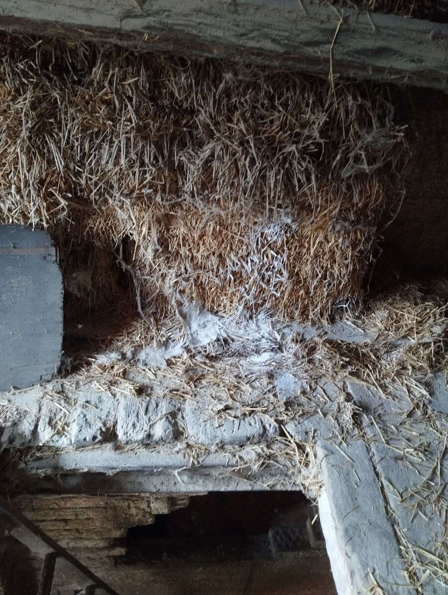 exterminateur d insectes a-Valeyres-sous-Montagny.jpg