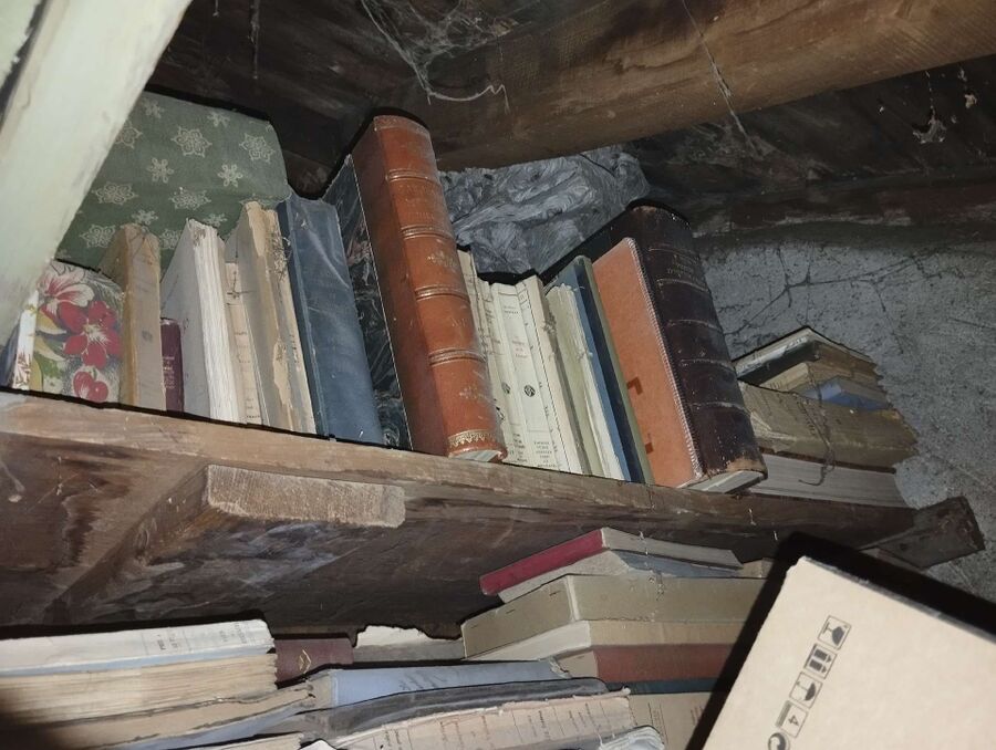 exterminateur d insectes a-Valeyres-sous-Rances.jpg