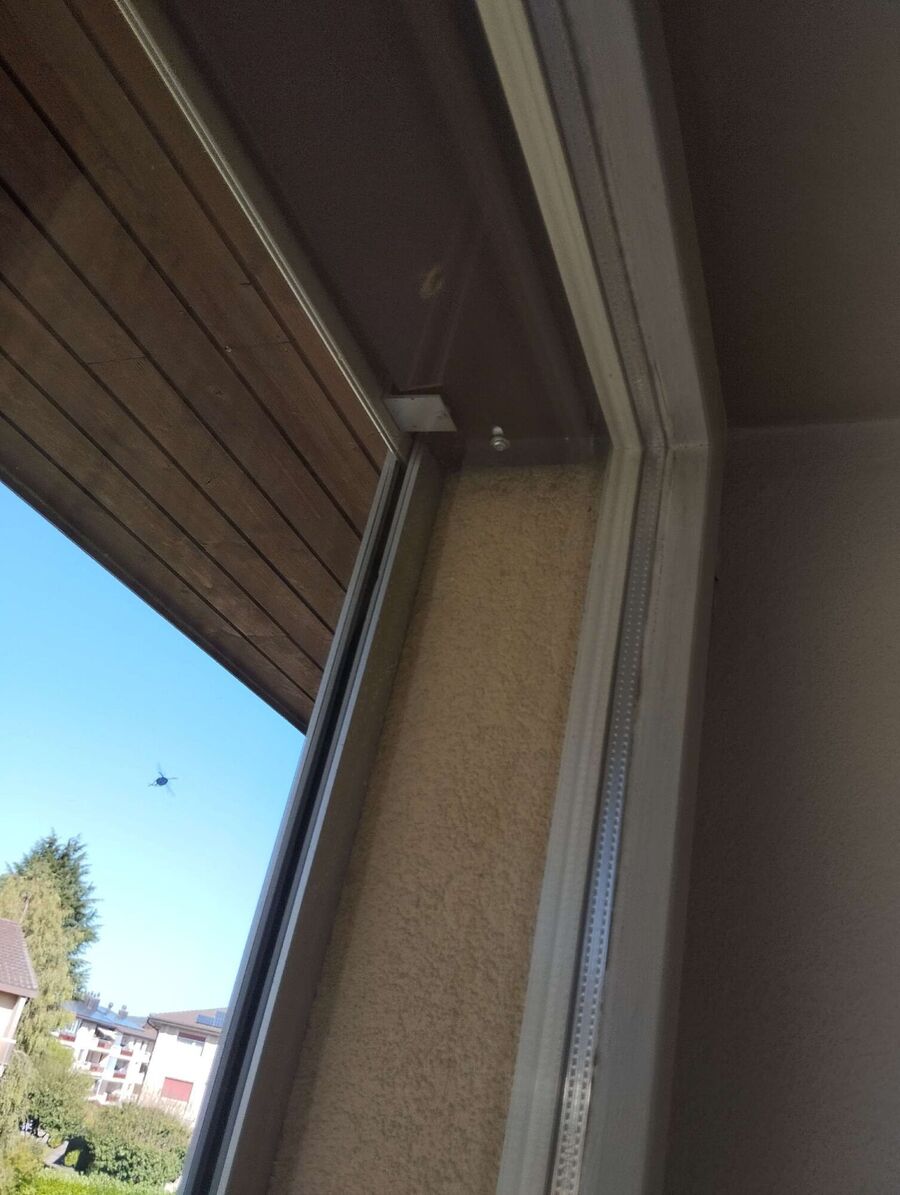 exterminateur d insectes a-Vallorbe.jpg