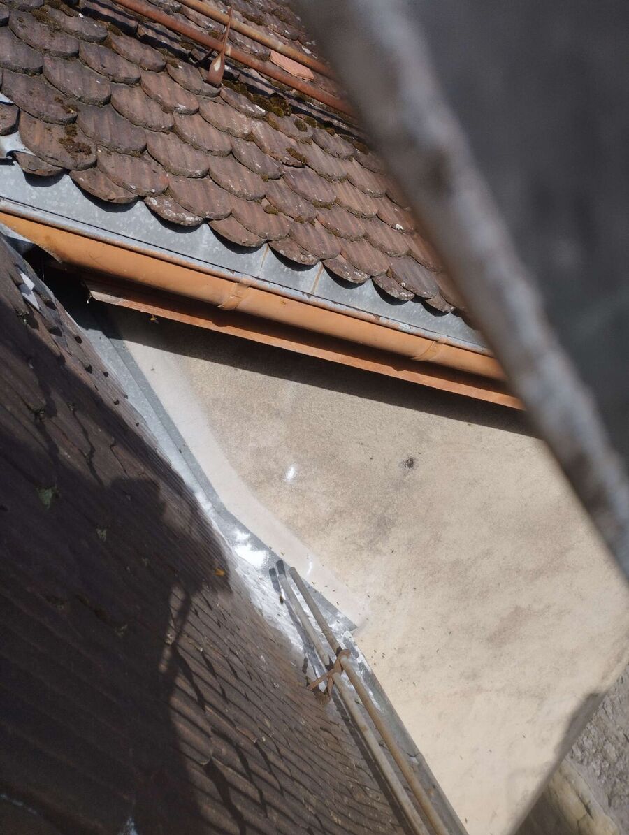 exterminateur d insectes a-Vaulion.jpg