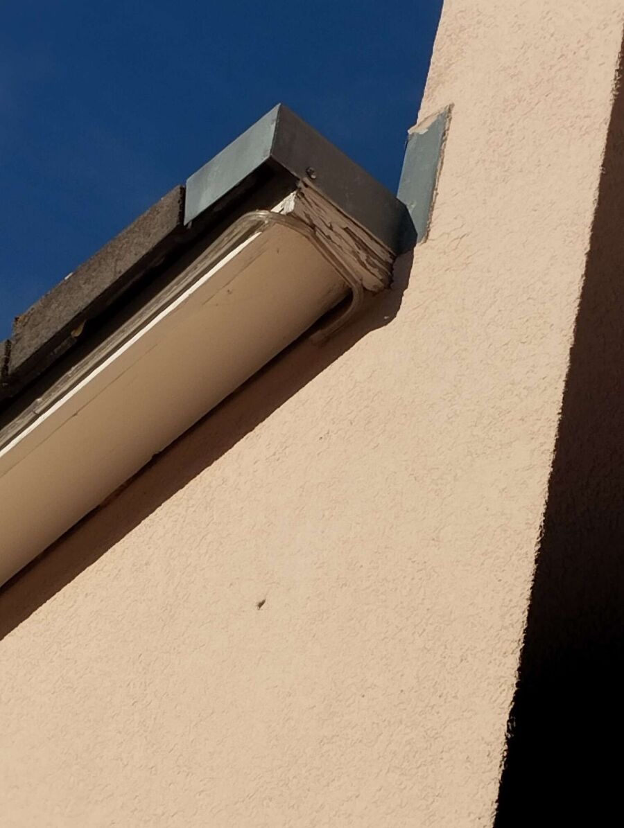 exterminateur d insectes a-Vich.jpg