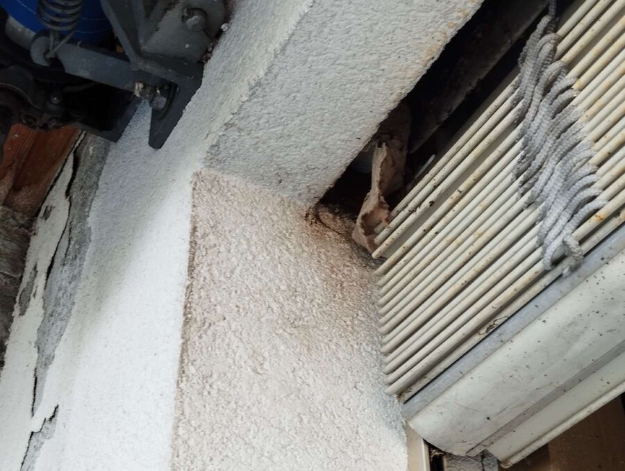 exterminateur d insectes a-Villars-Epeney.jpg