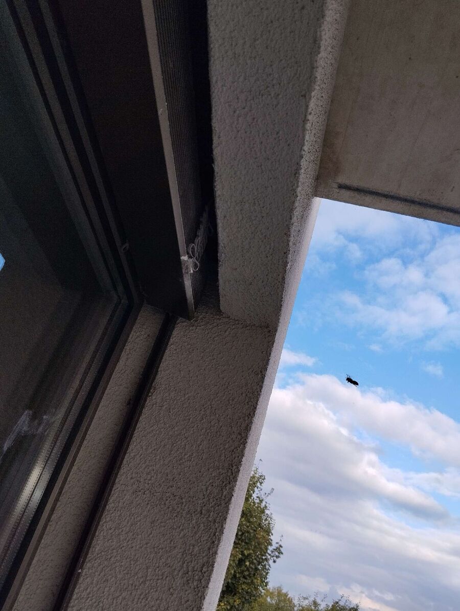 exterminateur d insectes a-Villars-le-Terroir.jpg