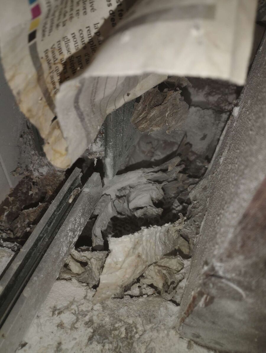 exterminateur d insectes a-Vinzel.jpg