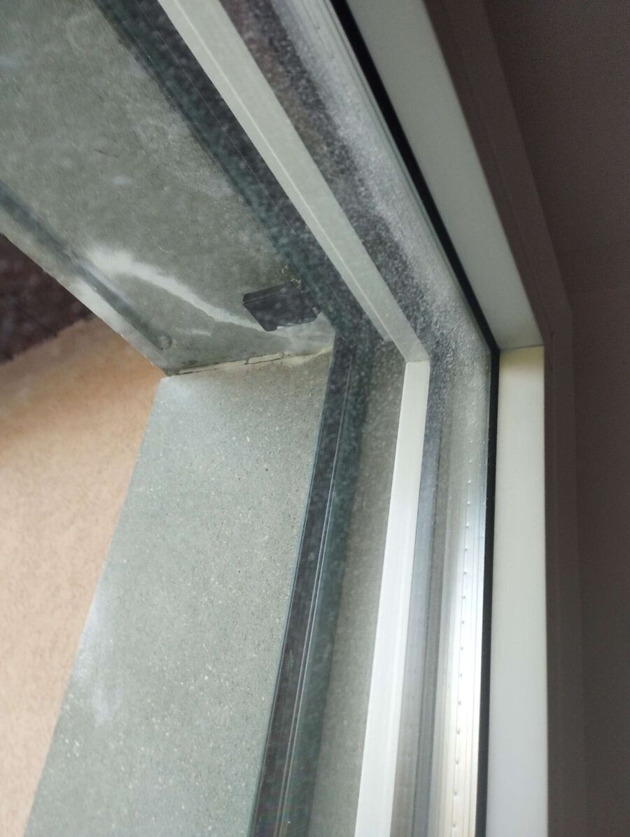 exterminateur d insectes a-Vufflens-la-Ville.jpg