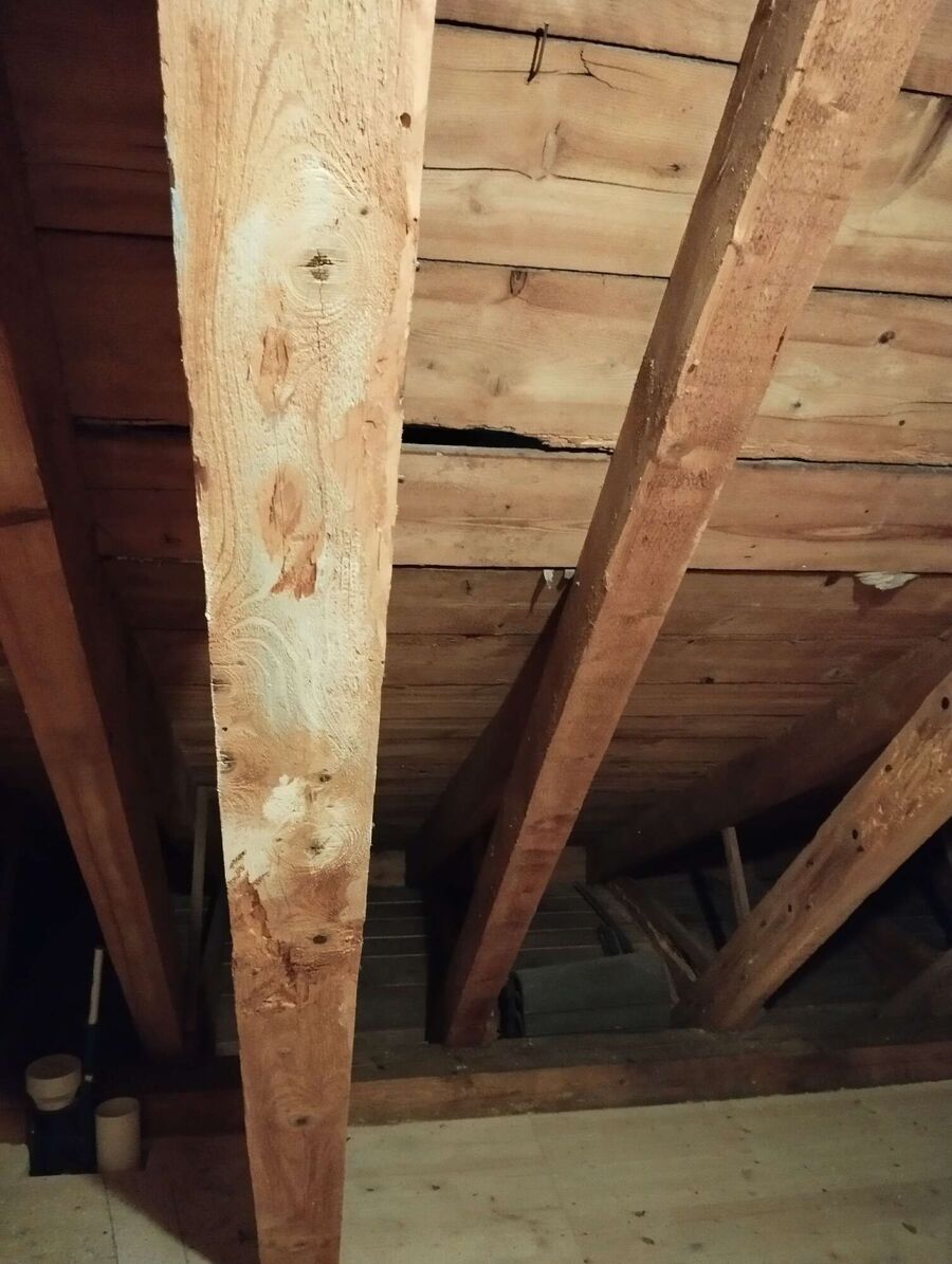 exterminateur d insectes a-Vullierens.jpg