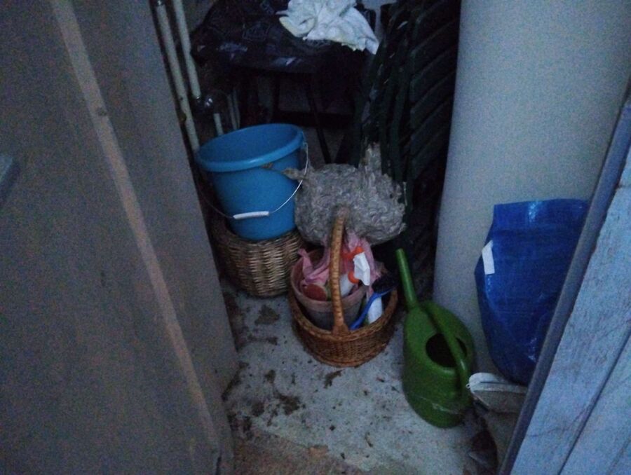 desinfestateur a proximite