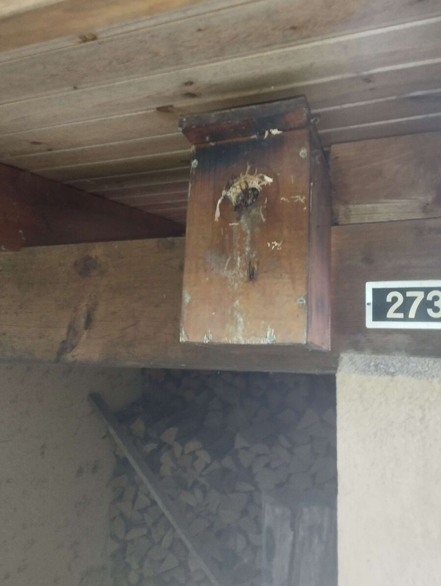 exterminateur d insectes a-Vernier.jpg