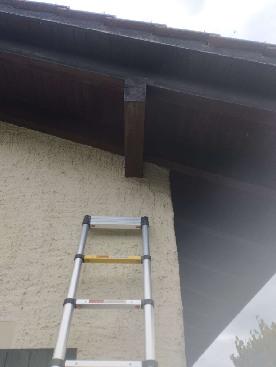 exterminateur d insectes a-Versoix.jpg