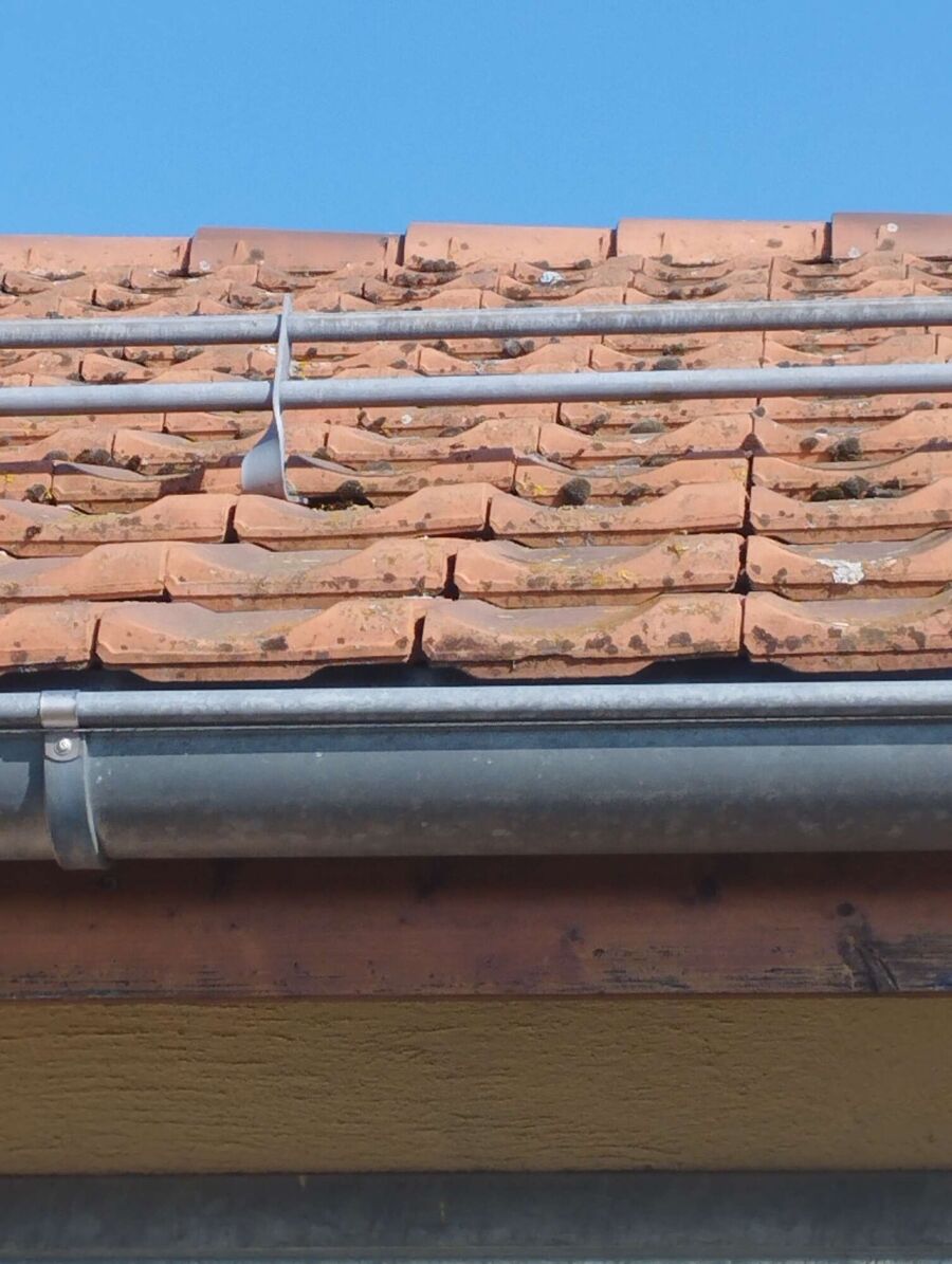 exterminateur d insectes a-Boncourt.jpg