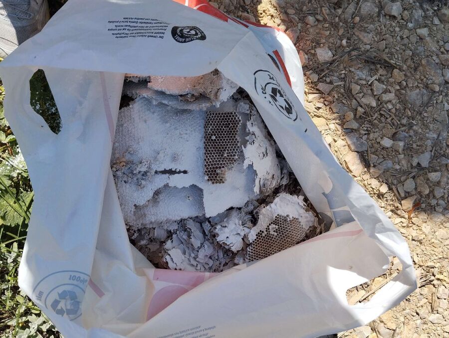 exterminateur d insectes a-Bonfol.jpg