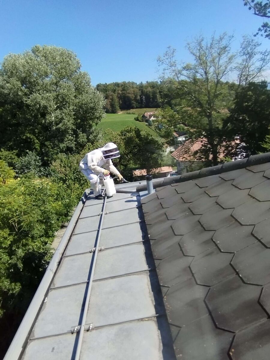 exterminateur d insectes a-Clos du Doubs.jpg