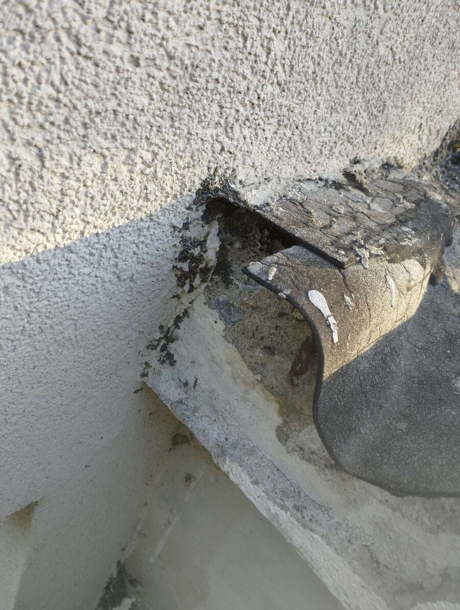 exterminateur d insectes a-Courchapoix.jpg