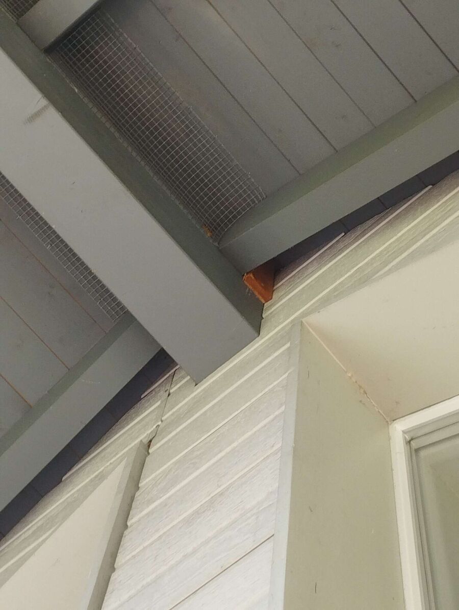 exterminateur d insectes a-Courrendlin.jpg