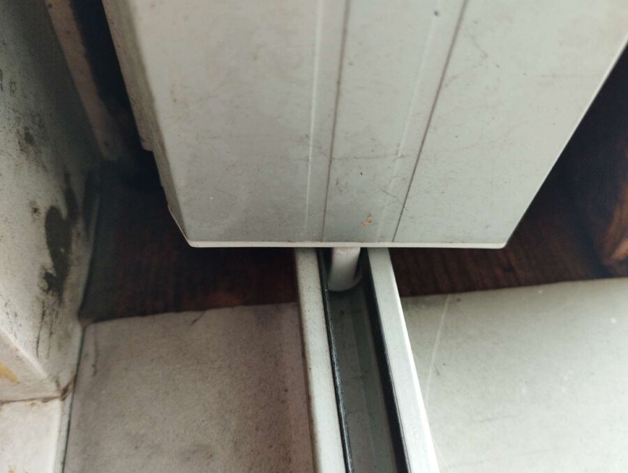 exterminateur d insectes a-La Chaux-du-Milieu.jpg