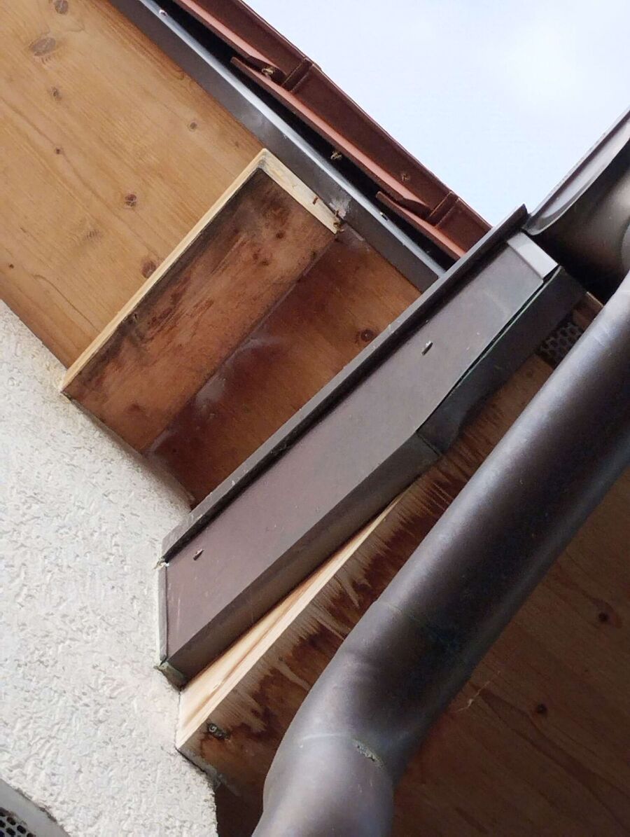 exterminateur d insectes a-Courtételle.jpg