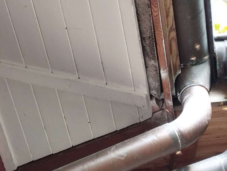 exterminateur d insectes a-Develier.jpg