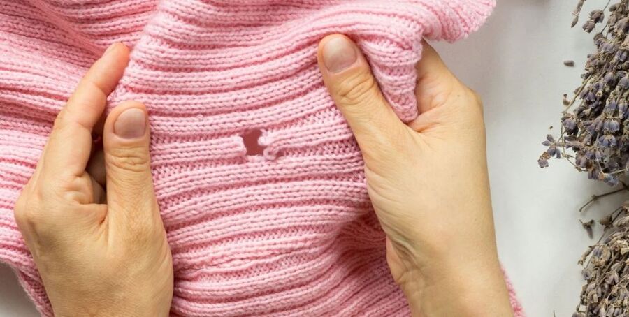 Exterminateur pour papillons de nuit